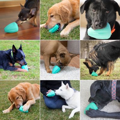 Image showing 6 th Chew King Dog Toys, 2-Pack