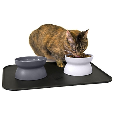 Kitty City Elevated Polypropylene Cat Bowl and Placemat Set, 0.6 Cup, 2 Bowls