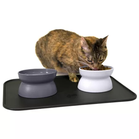 Kitty City Polypropylene Raised Cat Bowl and Placemat Set 0.6 Cup 2 Bowls Double Diners