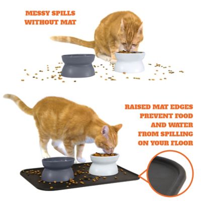 Image showing  Elevated Polypropylene Cat Bowl and Placemat Set, 0.6 Cup, 2 Bowls