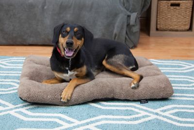Image showing  Waterproof Plush Pillow Pet Bed