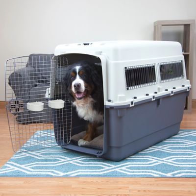 SportPet 1-Door Plastic Dog Kennel, XXXL, 38 in. x 32 in. x 4 ft.