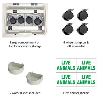 Image showing  2-Door Plastic Dog Kennel, 25.25 in. x 22 in. x 34.5 in.