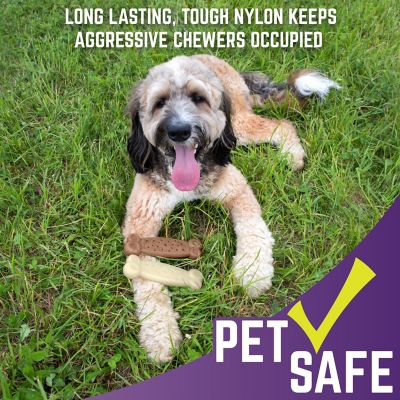 Image showing  Gear Nylon Dog Chew Bones, 2-Pack