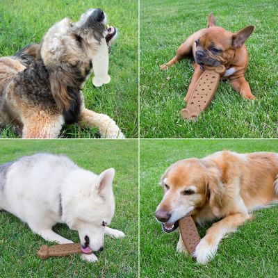 Image showing  Gear Nylon Dog Chew Bones, 2-Pack