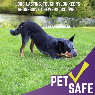 Image showing  Nylon Dog Wishbone Dog Chew Toy