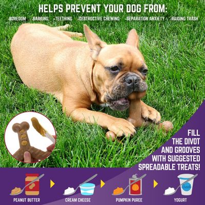 Image showing  Nylon Dog Wishbone Dog Chew Toy