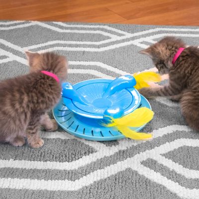 Image showing  Ball Track Spinner Cat Toy