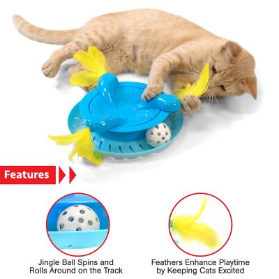 Image showing  Ball Track Spinner Cat Toy