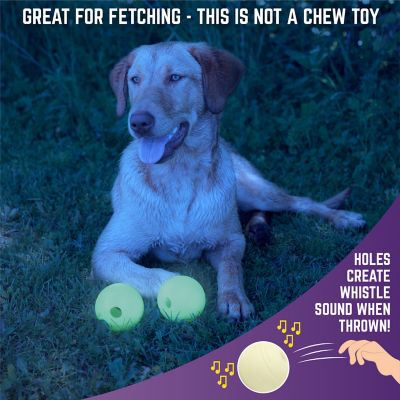 Image showing  3 in. Glow Ball Dog Toys, 2-Pack