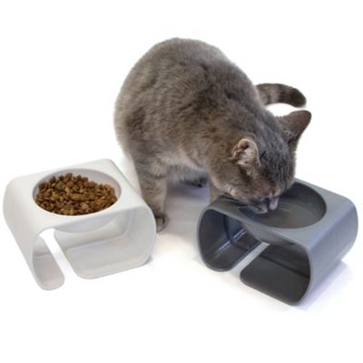 Image showing  Raised Polypropylene Cat Bowls, 1.25 Cups, 2-Bowls