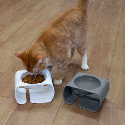 Image showing  Raised Polypropylene Cat Bowls, 1.25 Cups, 2-Bowls