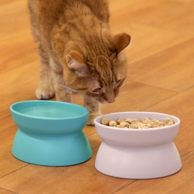 Image showing  Elevated Polypropylene Cat Bowls, 0.6 Cup, 2 ct.