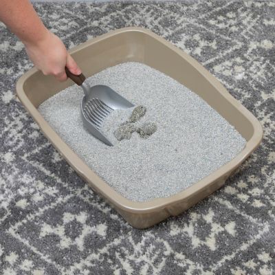 Image showing 5 th Kitty City Non-Stick Cat Litter Scoop