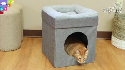 Image showing  19.25 in. Folding Cat Bed