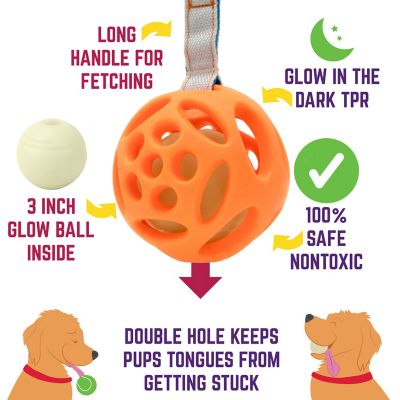 Image showing  Float and Glow Flyer Dog Toy
