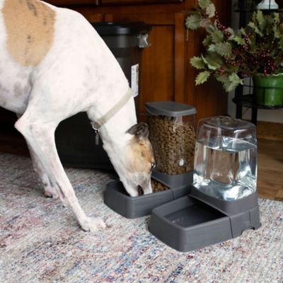 Image showing  Pet Gravity Feeder Kit