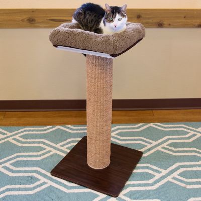 Image showing  4 in. Cat Perch Cushion Platform