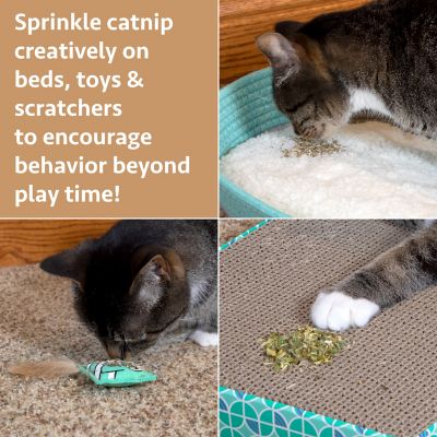 Image showing  Premium Natural Catnip Bag