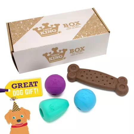 Chew King Dog Toy Box Medium Dog Chew Toys