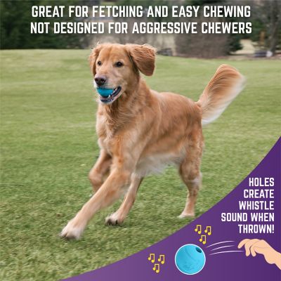 Image showing 5 th Chew King Medium Dog Toy Box