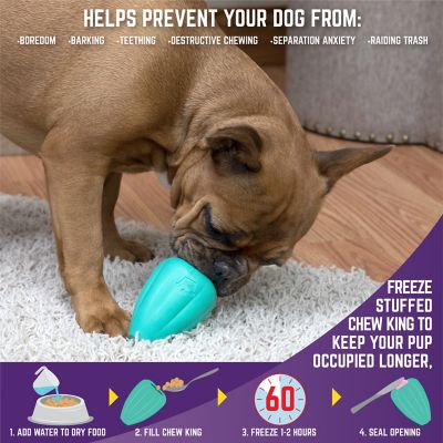 Image showing  Dog Toy Box