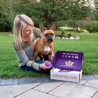 Image showing 6 th Chew King Dog Toy Box