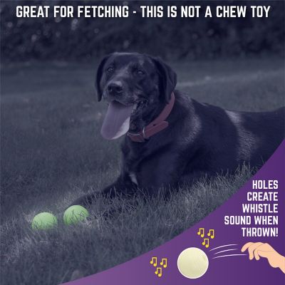 Image showing  Value Pack Glow Ball Dog Toys, 8-Pack