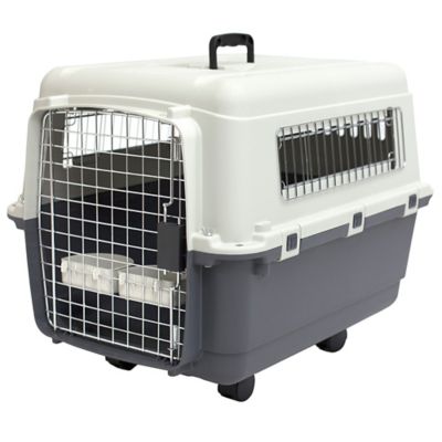 SportPet 1-Door Medium Plastic Dog Kennel, 20.75 in. x 20 in. x 26.5 in.