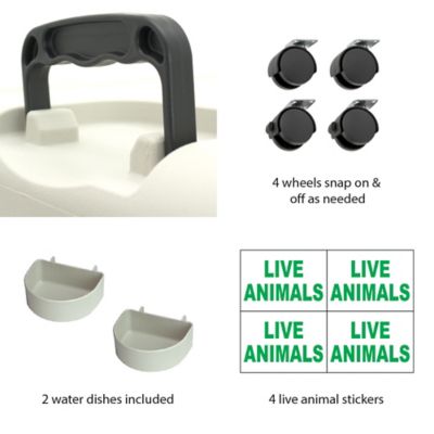 Image showing  1-Door Medium Plastic Dog Kennel, 20.75 in. x 20 in. x 26.5 in.