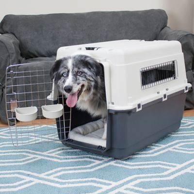 Dog kennel for sale tractor supply hotsell