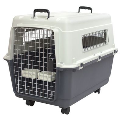 Image showing  1-Door Large Plastic Dog Kennel, 23 in. x 22 in. x 32 in.