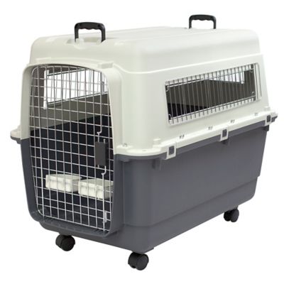 SportPet 1-Door Plastic Dog Kennel, Extra Large, 29 in. x 23.75 in. x 35.5 in.