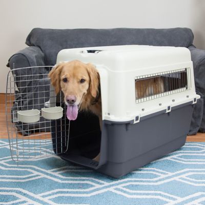 Image showing  1-Door Plastic Dog Kennel, Extra Large, 29 in. x 23.75 in. x 35.5 in.