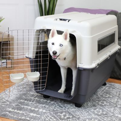 Image showing  1-Door Plastic Dog Kennel, XXL, 31.5 in. x 26.25 in. x 39.5 in.