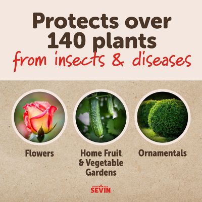 Image showing  1 lb. Sulfur Dust