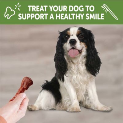 Image showing 7 th Wellness WHIMZEES Variety of Shapes Dog Dental Treat, Small, 29.6 oz.