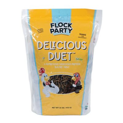 Flock Party Mealworm and Cricket Poultry Treats, 16 oz.