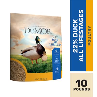 DuMOR 22% All Life Stages Crumbles Duck Feed, 10 lb.