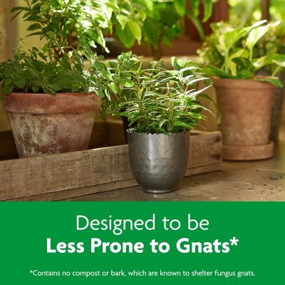 Image showing  6 qt. Indoor Potting Mix