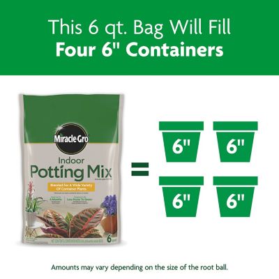 Image showing  6 qt. Indoor Potting Mix