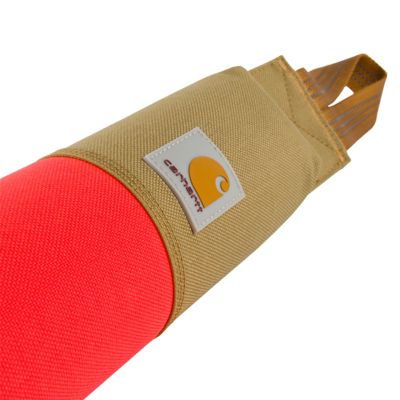 Image showing  Training Dog Retrieving Bumper