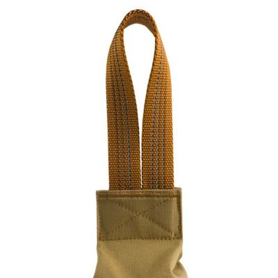 Image showing  Training Dog Retrieving Bumper