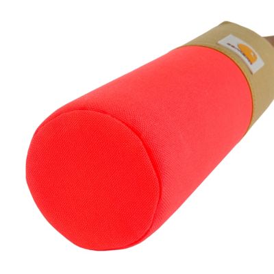 Image showing  Training Dog Retrieving Bumper