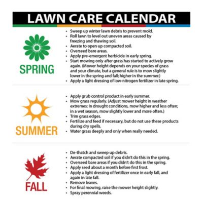 Image showing 9 th Agri-Fab 2 in. Diameter 208cc Gas Chip-N-Vac Lawn Vacuum