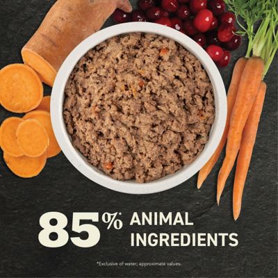 Image showing  Puppy Premium Pate Puppy Recipe in Bone Broth Wet Dog Food, 12.8 oz.