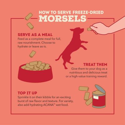 Image showing  Freeze Dried Morsels Free-Run Beef Recipe Dog Food & Topper, 8 oz.