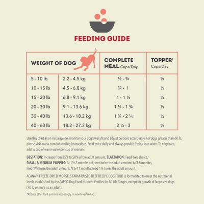 Image showing 7 th ACANA Freeze Dried Morsels Free-Run Beef Recipe Dog Food & Topper, 8 oz.