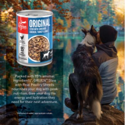 Image showing  Adult Original Stew Recipe with Chicken, Turkey and Eggs Premium Wet Dog Food, 12.8 oz.