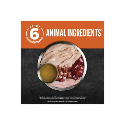 Image showing  Premium Wet Dog Food Chicken Recipe, 12.8 oz.